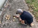 Les enfants créent dans la nature